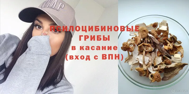 Галлюциногенные грибы мицелий  где купить наркотик  Великие Луки 